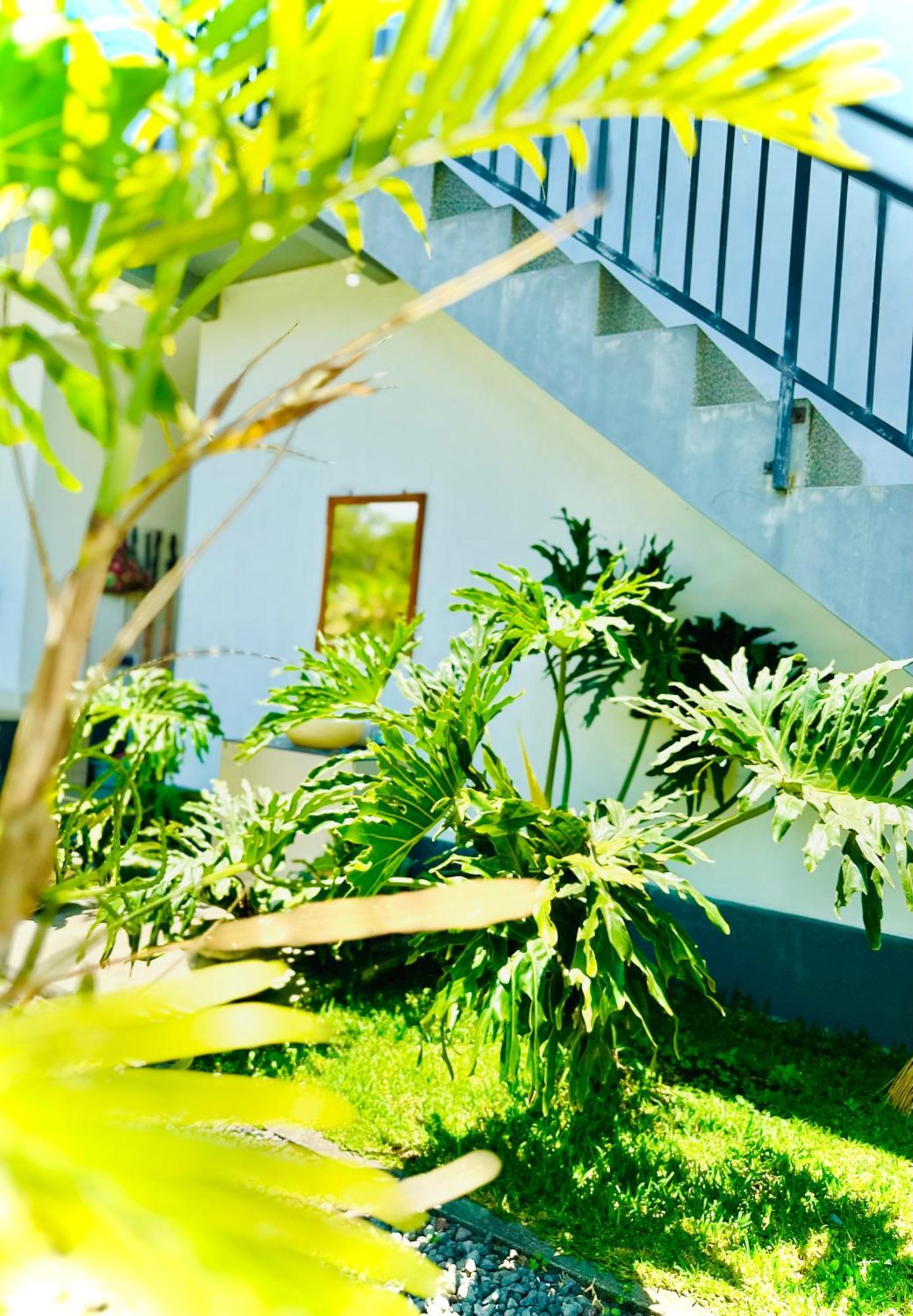 Batur Volcano Guesthouse 킨타마니 외부 사진